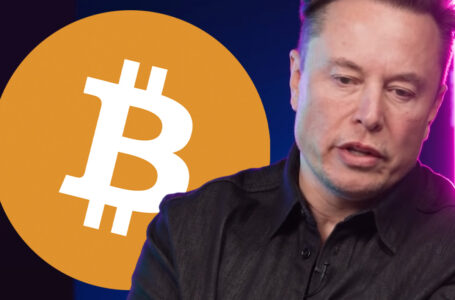 Former SpaceX Intern Continues to Insist That Elon Musk Created Bitcoin