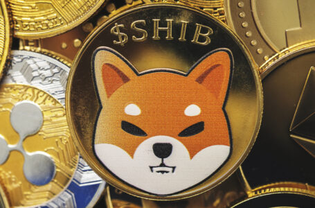 Shiba Inu Records More Than 100% Increase in Active Whale Addresses and Volume Despite Dip