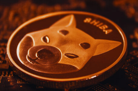 Shiba Inu’s 2022 Burn Roadmap Has Been Released: Details
