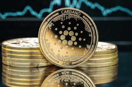 ADA Spikes 15% as IOHK CEO Touts Cardano’s Plutus in Wake of MonoX Hack