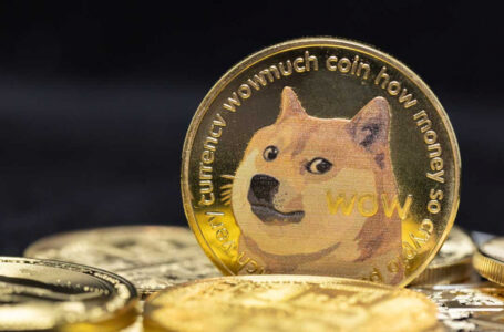 Dogecoin Large Transactions Increase by 10% Amid Market Dip