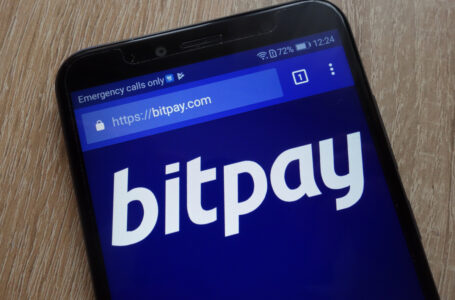 Shiba Inu, Dogecoin and Other Coins Can Now Be Bought with Zero Fees in BitPay Wallet App