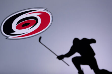 Shiba Inu to Be Accepted by Carolina Hurricanes