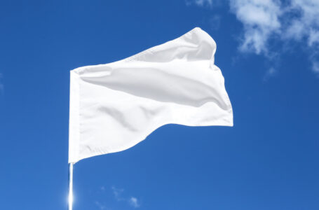 Bitcoin Bulls Yet to Capitulate, Peter Brandt Claims