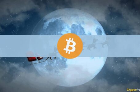 Xmas Rally? Bitcoin Spiked 50% in the Last 16 Days of 2020
