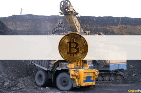 Bitcoin Miners’ Reserves Reach Six-Month High