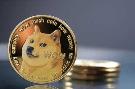 Dogecoin Foundation Joins Forces With Vitalik Buterin to Build Community Staking