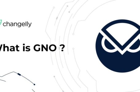 Gnosis Review: Should You Invest In GNO?