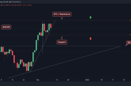 Luna Price Analysis: Bulls Got Rejected at $78 ATH, Is a Correction Coming?