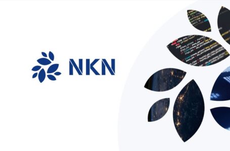 Is New Kind of Network (NKN) a Good Investment?