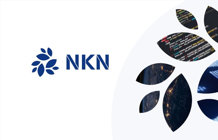 New Kind of Network (NKN)