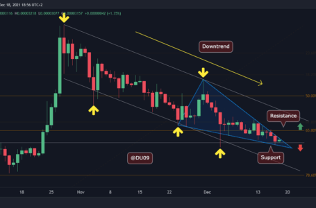 Shiba Inu Price Analysis: SHIB Facing Critical Support, Correction or More Bloodbath Ahead?