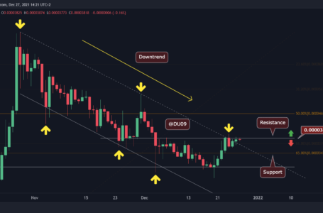 Shiba Inu Price Analysis: Following 24% Weekly Gains, SHIB Facing a Big Move