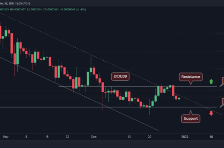 Shiba Inu Price Analysis: SHIB Drops 15% in Two Days as Market Tumbles