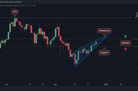 Solana Price Analysis: SOL’s Forming a Rising Wedge, Which Could Be Worrying for the Bulls