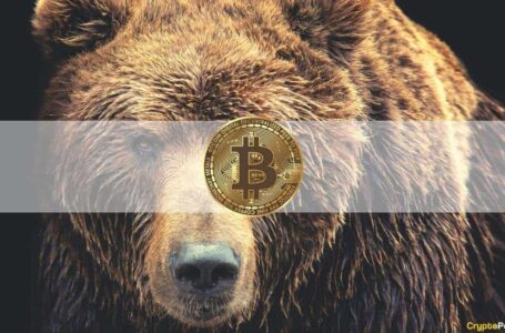 Market Watch: BTC Dipped Below $47K on Another Volatile Friday