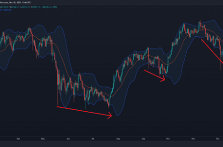 Bitcoin Price Analysis: Despite the Bearishness, Onchain Might Suggest a Supply Shock