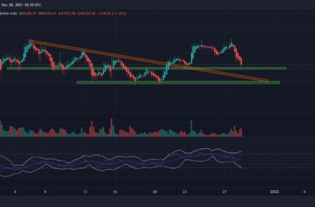 Bitcoin Price Analysis: Bitcoin Lost Over $4K In a Day, Where is the Bottom?