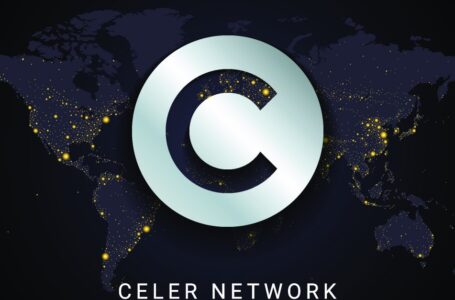 Is Worth Investing in Celer Network (CELR)?