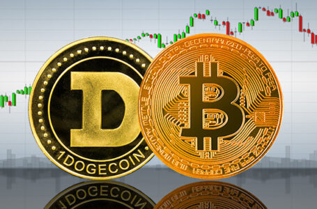 Dogecoin vs Bitcoin What’s The Difference?