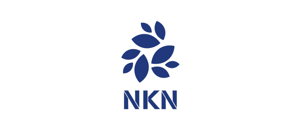 New Kind of Network (NKN)