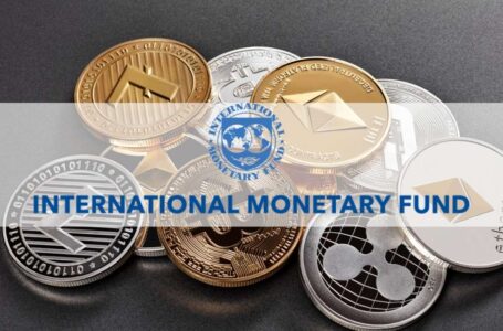 IMF Chief Economist Says Not To Ban Crypto