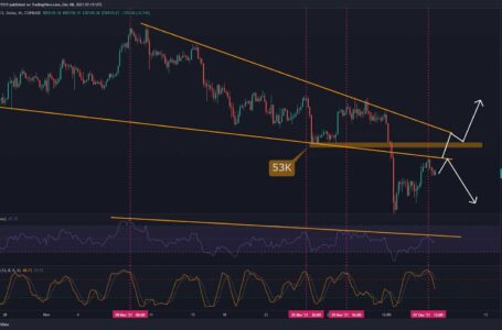 Bitcoin Price Analysis: BTC Recovery Above $50K Stalls, More Pain Ahead?