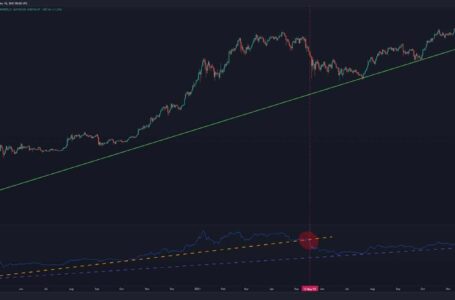 Bitcoin Price Analysis: BTC Unable to Reclaim $50K as Bearish Indications Loom