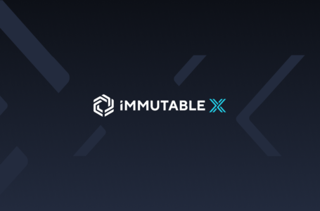 Immutable X (IMX) Review: The First Layer 2 Protocol in Ethereum