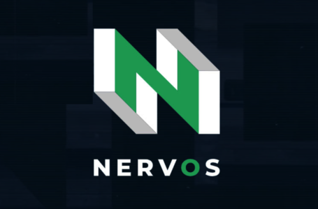 Is Worth Investing in Nervos Network (CKB)?