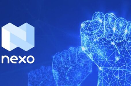 Should You Invest in Nexo Cryptocurrency?