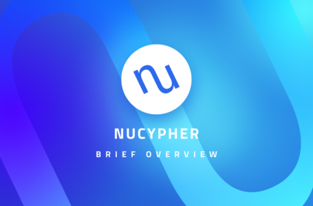 Is Worth to Invest in Nucypher (NU)?