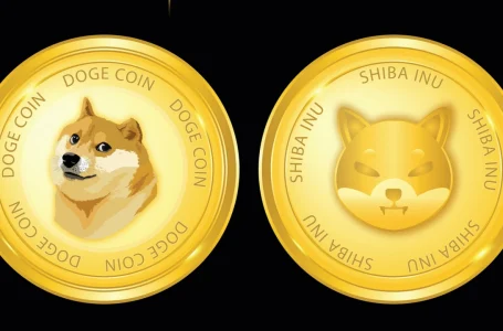 DOGE and SHIB Led the Pack of Meme-Based Assets in 2021, Both Tokens Dominate 85% of the Meme-Coin Economy