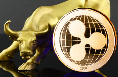 Ripple Achieves ‘Strongest Year Ever’ Despite SEC Lawsuit Over XRP, Says CEO
