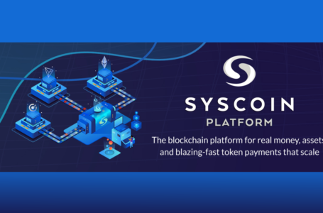Is Worth Investing in Syscoin (SYS)?