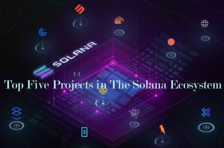 Top Five Projects in The Solana Ecosystem