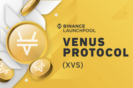 Is Venus (XVS) a Good Investment in 2021?