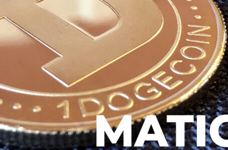 Whales Shift $2.4 Million Worth of DOGE and $86 Million in MATIC Over Past Hour