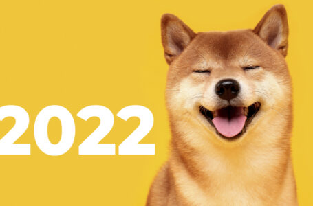 Shiba Inu Enters 2022 as Most Popular Holding on Whale Addresses