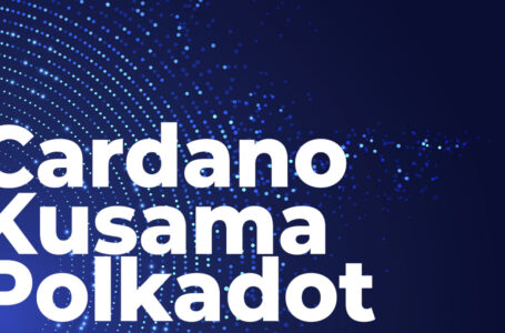 Cardano, Kusama, Polkadot Top List of Most Developed Assets Ahead of Ethereum in 2021