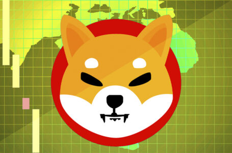 Shiba Inu Dominance Drops to Three-Month Low as USD Value Remains High