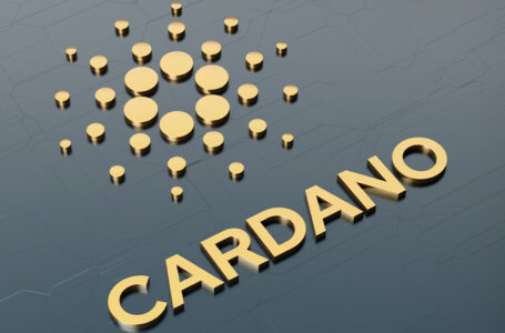 Cardano Improvement Proposals Might Strengthen ADA 2022 Fundamentals