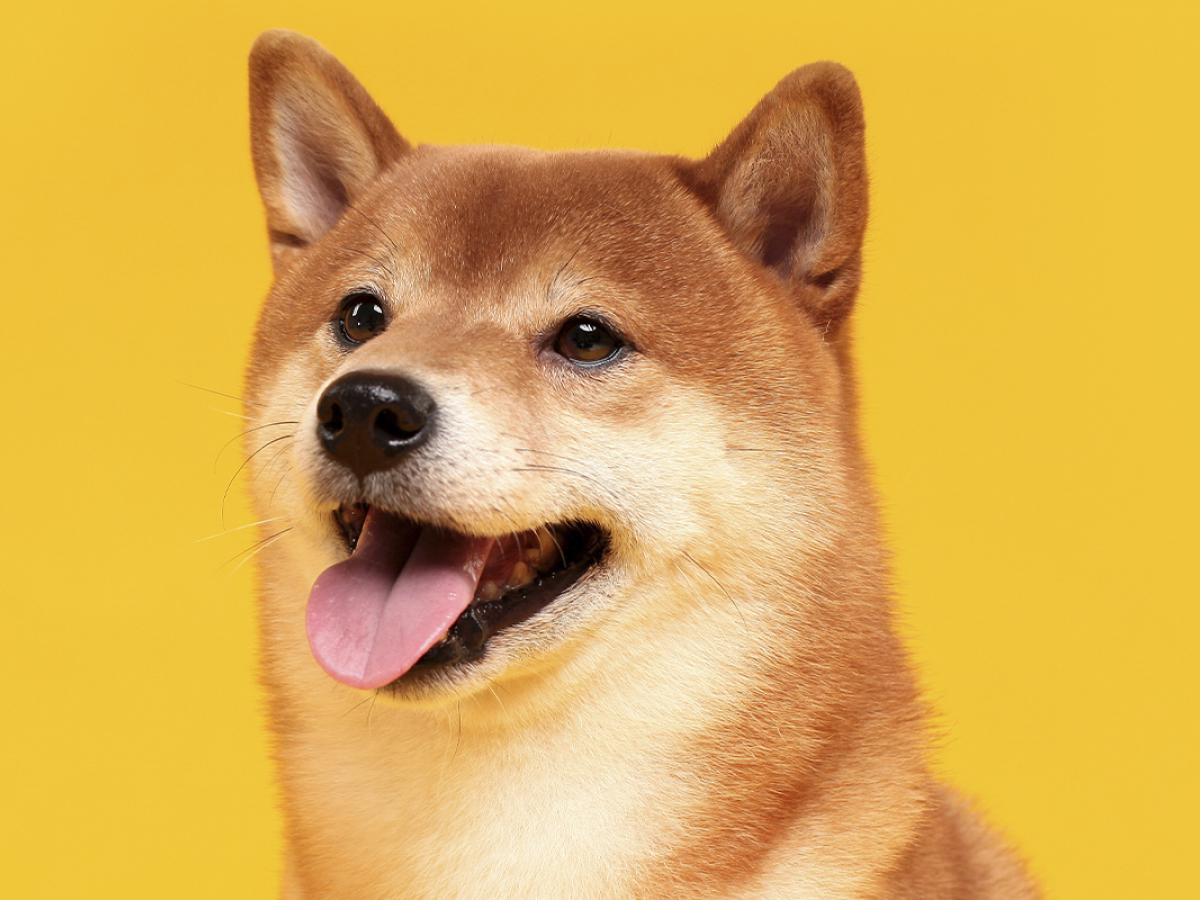 SHIB