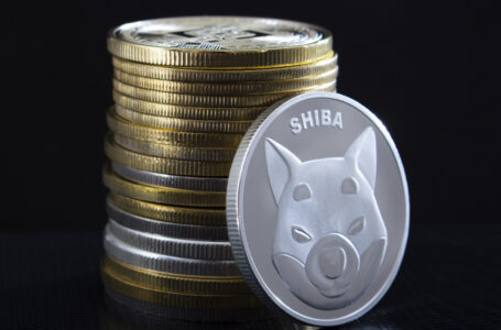 Shiba Inu Fights FTX Token in Battle for Biggest Whale Holding