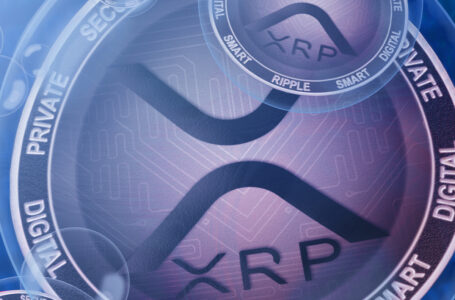 $170 Million Worth of XRP Wired by Ripple and World’s Largest Exchange: Details