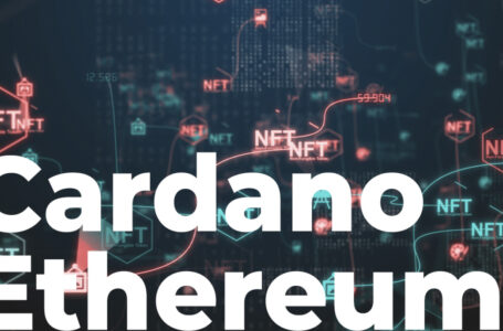 Cardano, Ethereum Have Taken On NFT Space and Are Moving Forward: Bloomberg Expert