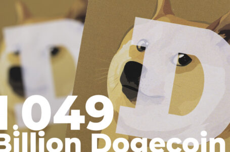 1.049 Billion Dogecoin Shifted by Robinhood and Anon Whales Over Past Day