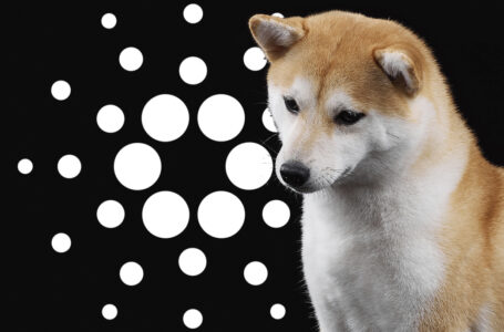 Shiba Inu, Cardano Present Buying Opportunity According to This Indicator
