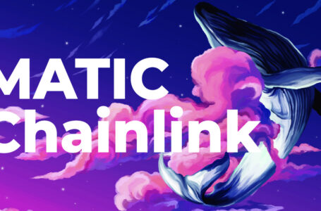 Chainlink Flips MATIC as Most-Traded Token, but ETH Whales Are Grabbing Both