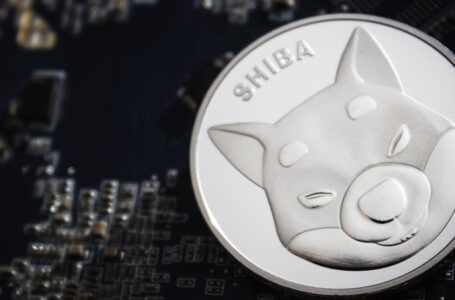 Shiba Inu Whales Held onto Tokens Despite Market Sell-off: Details